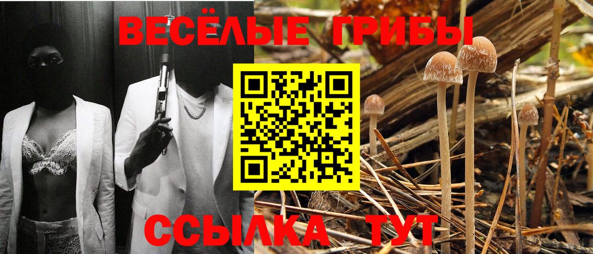 Галлюциногенные грибы прущие грибы Россия