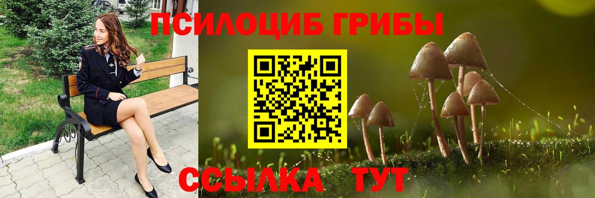 Россия  Галлюциногенные грибы Psilocybe  Галлюциногенные грибы прущие грибы  Вход с VPN 
