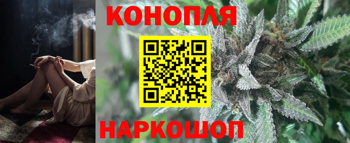 Канабис ГИДРОПОН Россия